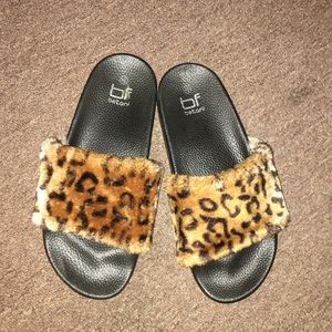 Cheetah slides